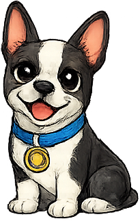 Boston Terrier