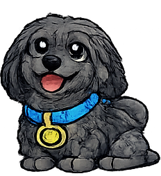 Puli