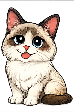Ragdoll